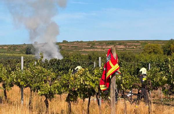 Zwei Tote nach Flugzeug-Kollision bei Gneixendorf