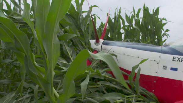 Notlandung endet im Maisfeld: Flugzeug beschädigt, Pilot unverletzt